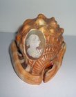 Victorian Cameo Carved Conch Shell