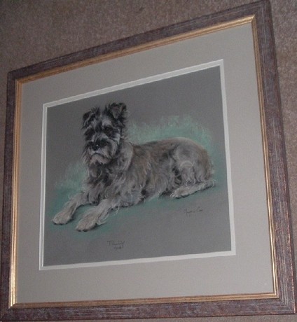 PASTEL portrait of a terrier, Marjorie Cox
