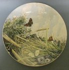 A Hand Painted Minton Plate by W.E.Croxford