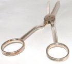 Silver Grape Scissors. Makers Unidentified