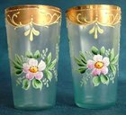 Pair of Victorian Tumblers with Enamelled Floral Design