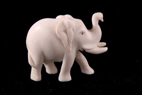 A 19th Century Chinese Ivory Miniature Baby Elephant
