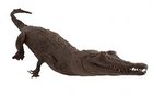 19th Century stuffed crocodile