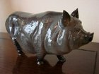 Royal Doulton - Vietnamese Pot Bellied Pig / Sow