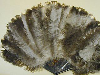 Ostrich Feather Fan