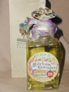 Mitchem Lavender