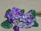 Violets Flower Spray