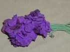Violets Flower Spray