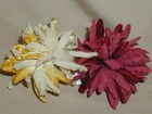 Chrysanthemum Flower Spray