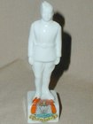 Crested Ware Airman