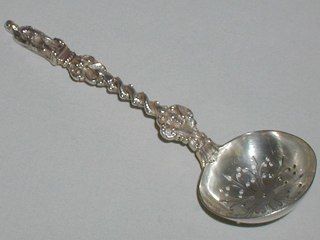 Sugar Sifter Spoon