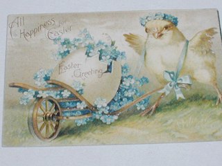 Easter Chick Postcard