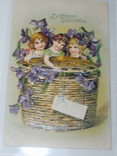Happy Birthday Violets Post Card