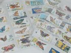 Butterfly Flapper Cigarette Cards