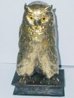 Owl Pen Box