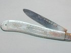 Mother of Pearl Fruit Knife