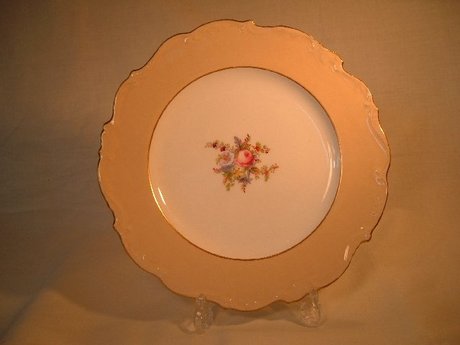 1830s Coalport Plate - Shape 3/993 - Flower Decoration